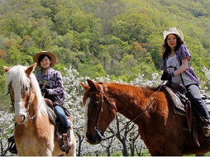 北海道で乗馬体験